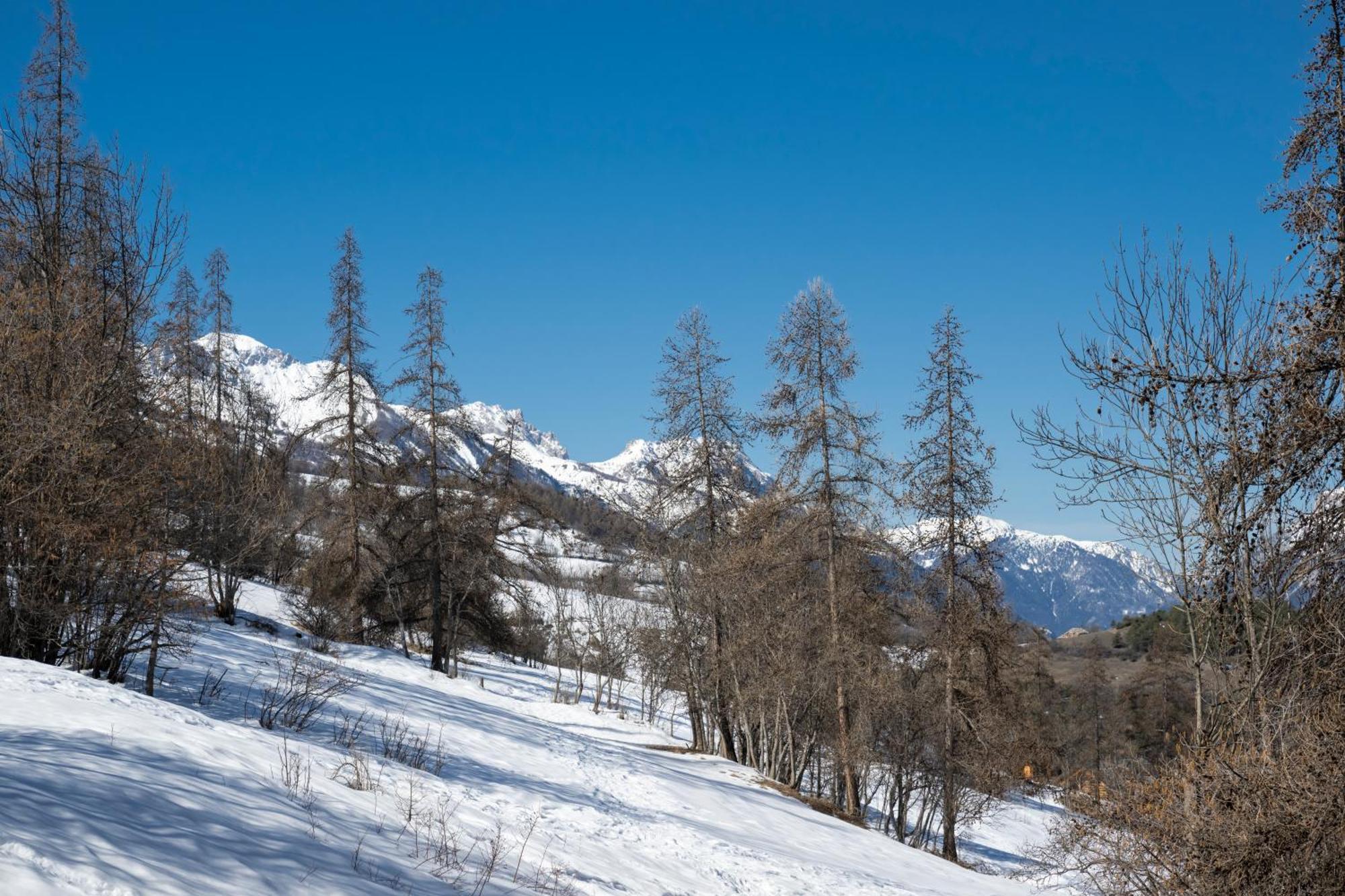 Doux Crepuscule - Au Bord Des Pistes - Parking Lägenhet Enchastrayes Exteriör bild